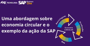 Wordpress economia circular sap business one axe tecnologia